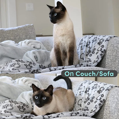 No-Mess Pet Blanket