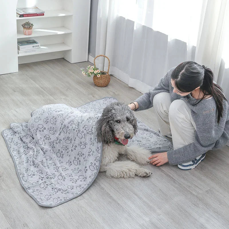 No-Mess Pet Blanket