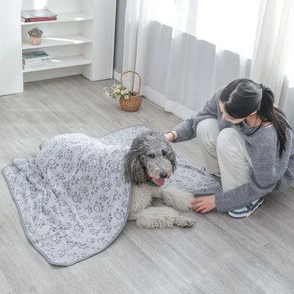 No-Mess Pet Blanket