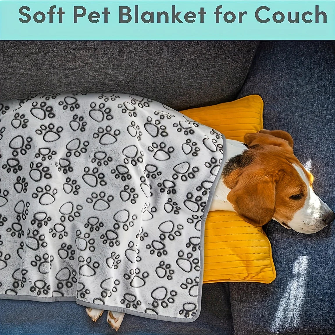 No-Mess Pet Blanket
